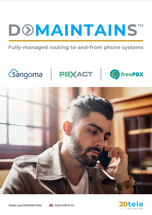 DOMAINTAINS™ Overview 2024